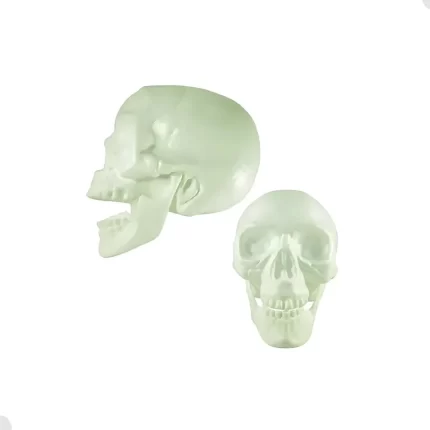 CAVEIRA ARTICULADA