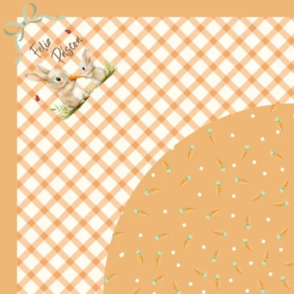 SACO EXPRESS LOVELY GARDEN LARANJA 44x44CM - 350G