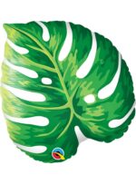 BALAO 21" SHAPE PC1 PHILODENDRON TROPICAL - COSTELA DE ADÃO