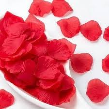 PETALAS DE ROSAS C/100 UN  - VERMELHO