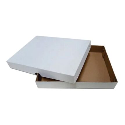 KIT 5 CAIXA PARA TRANSPORTE DE PAPELÃO BRANCO PARA SALGADO  35X35X7CM