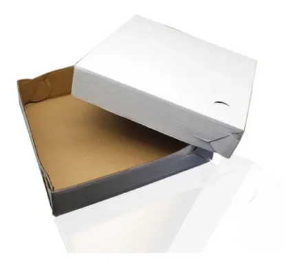 KIT 5 CAIXA PARA TRANSPORTE DE PAPELÃO BRANCO PARA SALGADO 25X25X6CM
