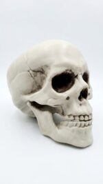 CRÂNIO DE CAVEIRA ARTICULADA - HALLOWEEN