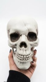 CRÂNIO DE CAVEIRA ARTICULADA - HALLOWEEN - Imagem 2
