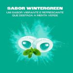 REFIL GARRAFA CHICLETES PURE FRESH WINTERGREEN 56G -  MENTOS - Imagem 4